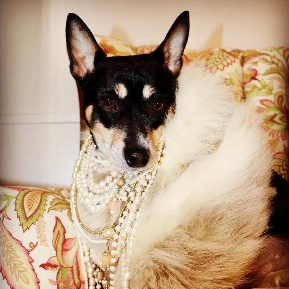 Meet your Posher, Rachelle